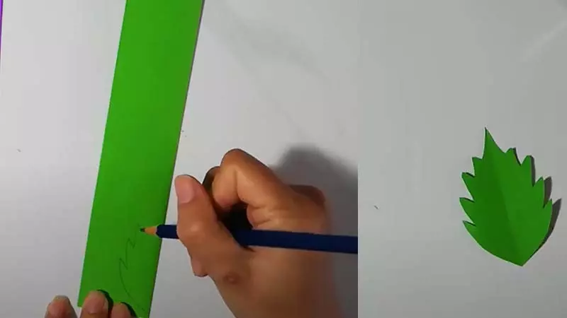 Vẽ lá giấy và lá giấy